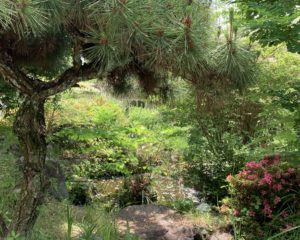 お知らせ☆わたし雑貨店、クラウドファンディングに挑戦中！