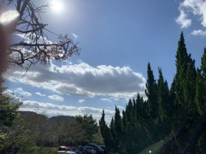 ドキドキを維持するために何かやる秋。