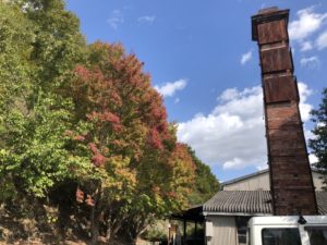 11月紅葉が進む後楽窯とわたし雑貨店  もっとお品物買取りたいよ