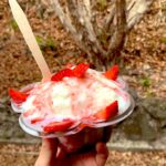 わたしあかるく生きたいし、まわりのひともそうだといいな。