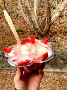 わたしあかるく生きたいし、まわりのひともそうだといいな。