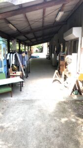 後楽窯跡地の成長＠わたし雑貨店