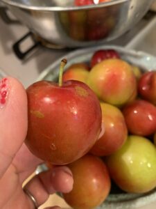 ほんの48時間の中で、その蝶の羽ばたきを１秒見つめるだけで。