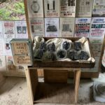 ぶどうの季節がはじまりました@わたし雑貨店 岡山 東区