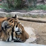 夫、アカデミー賞受賞。