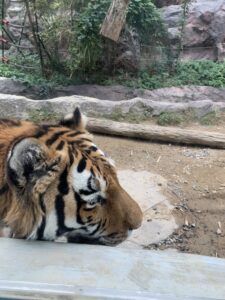 夫、アカデミー賞受賞。