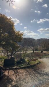 蜘蛛の巣はそっとしておく @わたし雑貨店   岡山  買取