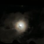 新年のご挨拶に参りました、わたしです。