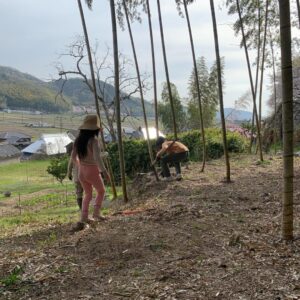 デジタルを超えるエンタメ青椒肉絲