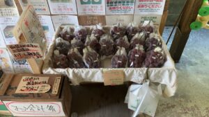 ぶどう　直売所　シーズンはじまりました　＠わたし雑貨店　岡山
