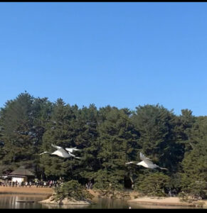 2025も人にやさしく生きる