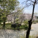 さくらさいたよ 岡山 東区 買取り @わたし雑貨店
