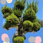 心の中の架空の師匠とはじめての剪定。