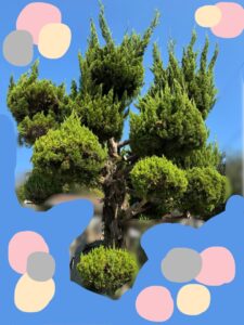 心の中の架空の師匠とはじめての剪定。