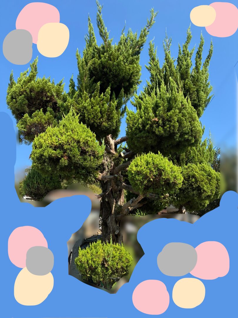 心の中の架空の師匠とはじめての剪定。