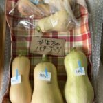 めんどくさがりマンのバターナッツでかぼちゃプリンレシピ