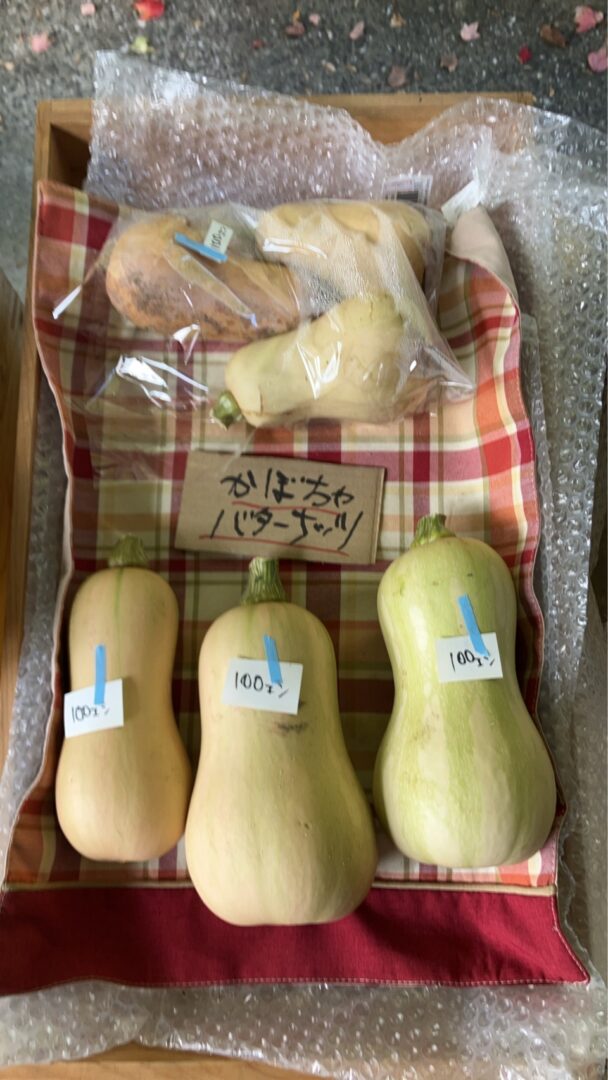 めんどくさがりマンのバターナッツでかぼちゃプリンレシピ