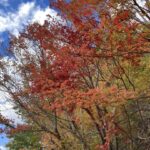 2025年をおいこせ　＠わたし雑貨店　岡山　東区　買取り