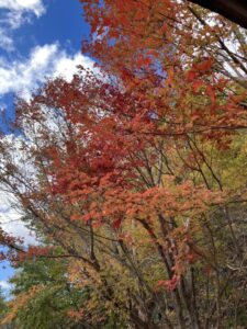 2025年をおいこせ　＠わたし雑貨店　岡山　東区　買取り