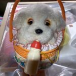 わたしはめいかくににんしきした。