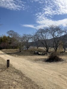 さくらが咲く季節　＠わたし雑貨店　岡山　買取り