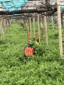 草刈りします　＠わたし雑貨店　岡山　買取