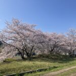 さくら　元気　＠わたし雑貨店　岡山東区　買取