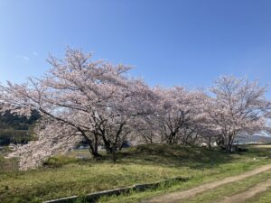 さくら　元気　＠わたし雑貨店　岡山東区　買取