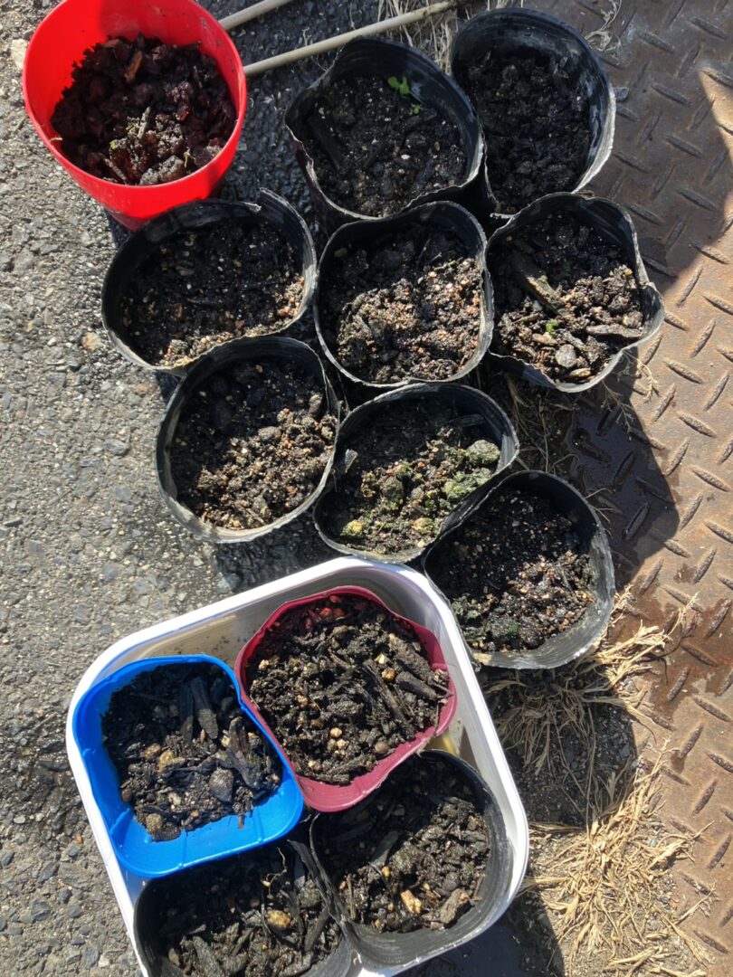 閃きと種まき②　＠わたし雑貨店　岡山市東区　買取　不用品