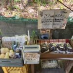 さあ　ぶどうのシーズンだ！！2026　ソの7　＠わたし雑貨店　岡山市東区