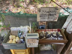 さあ　ぶどうのシーズンだ！！2026　ソの7　＠わたし雑貨店　岡山市東区